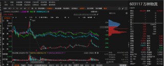 万林物流业绩大变脸，哪些投资者能索赔！