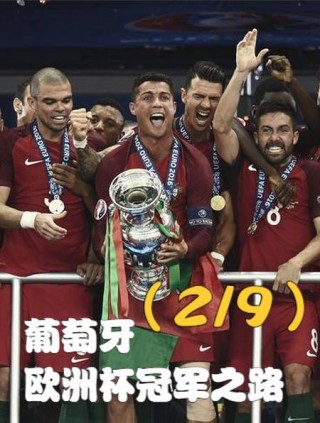 2016年欧洲杯(2016年欧洲杯冠军是哪个国家)