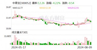 中青宝：因涉嫌信息披露违法违规  *** 决定对公司及实控人张云霞立案