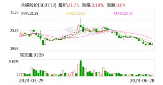 永福股份：多措并举打造电力能源综合服务商