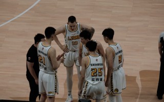 浙江vs广东联盟(浙江vs广东联盟比赛结果)