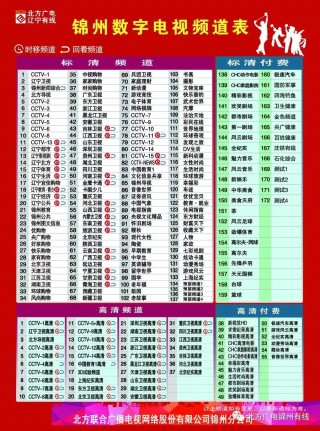 辽宁卫视节目表(山东卫视节目表)