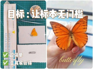 集模社工具平替的简单介绍
