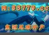 500足球彩票网(500足球彩票网官网首页)