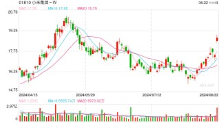 小米集团披露2024年二季度业绩 智能手机平均1103.5元/部，汽车均价22.86万元/辆
