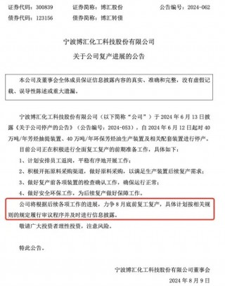 申报缴税4.8亿元！博汇股份：力争8月底前复工复产