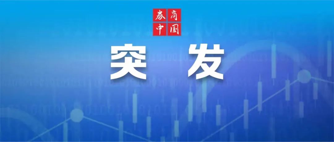 突发！“稀土大国”马拉维副总统，飞机失联！稀土探明储量逾3000万吨，居非洲国家之首  第1张
