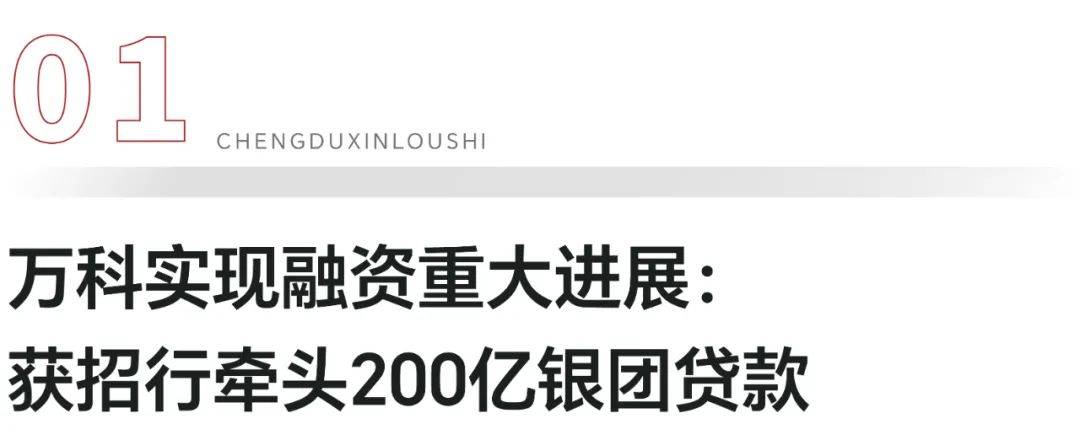 万科获招行牵头200亿元银团贷款的简单介绍  第2张
