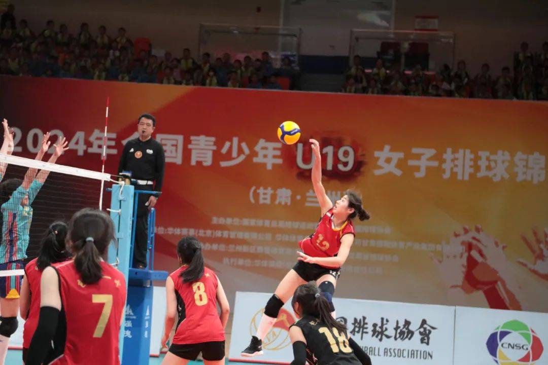 女排联赛最新赛果(女排联赛最新赛果美国土耳其)  第2张