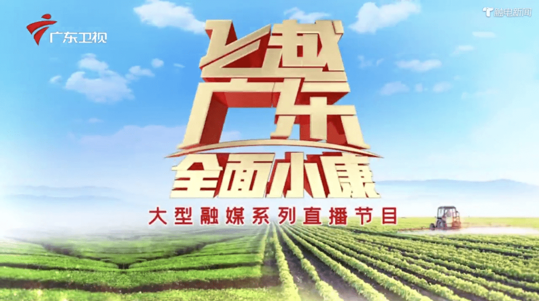 广东卫视直播(广东卫视直播在线观看节目表)  第1张