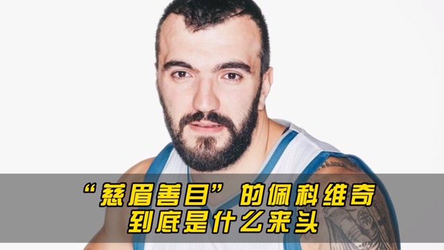 佩科维奇(尼古拉佩科维奇)  第1张
