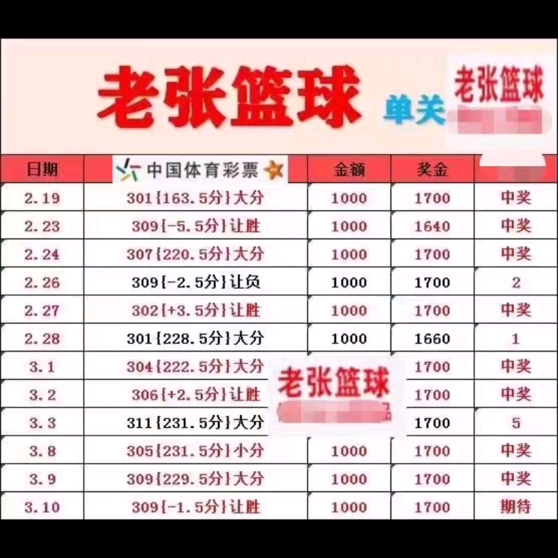 竞彩推荐单(竞彩推荐单名字)  第1张