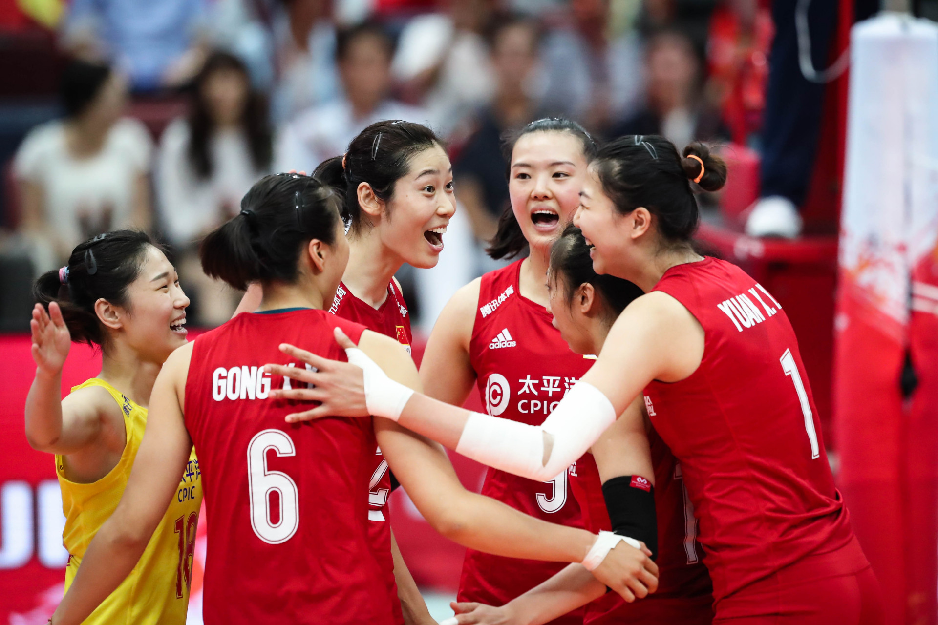 2024年中国女排联赛最新消息(2024年中国女排联赛最新消息新闻)  第2张