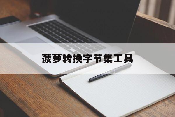 菠萝转换字节集工具(菠萝图标的视频转换器)  第1张
